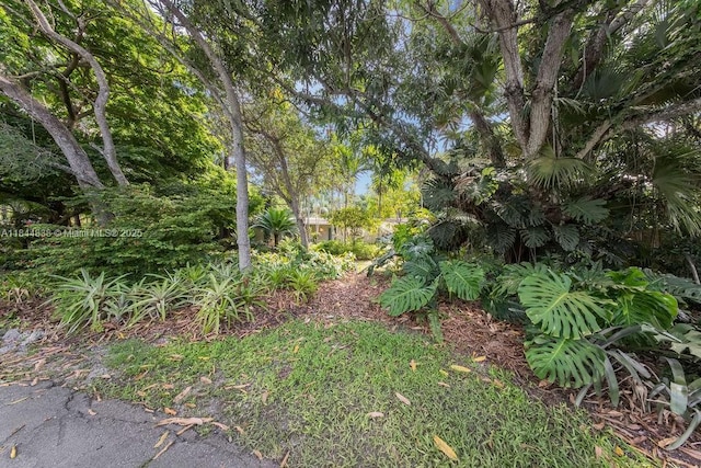 15301 SW 82nd Ct, Palmetto Bay, FL 33157 - photo 4