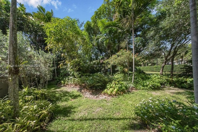 15301 SW 82nd Ct, Palmetto Bay, FL 33157 - photo 10