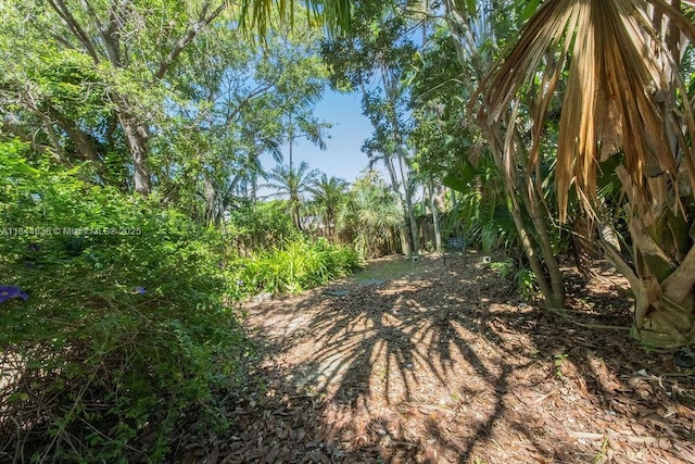 15301 SW 82nd Ct, Palmetto Bay, FL 33157 - photo 13