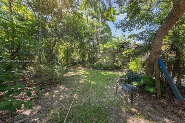 15301 SW 82nd Ct, Palmetto Bay, FL 33157 - photo 14