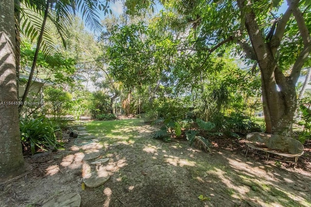 15301 SW 82nd Ct, Palmetto Bay, FL 33157 - photo 15