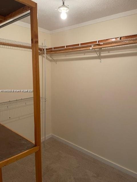 879 NW 81st Way Unit 4, Plantation, FL 33324 - photo 17