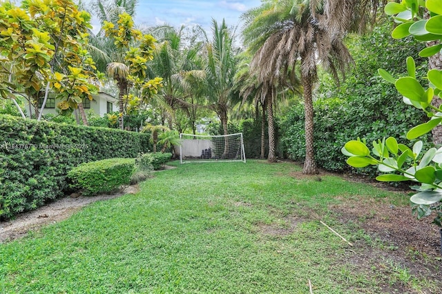 484 NE 57th St, Miami, FL 33137 - photo 64