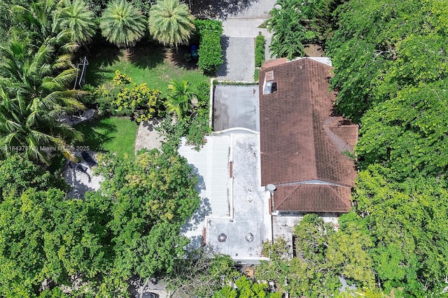 484 NE 57th St, Miami, FL 33137 - photo 70