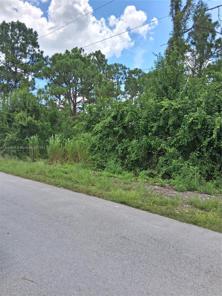 716 Newhall, Lehigh Acres, FL 33974 - photo 1