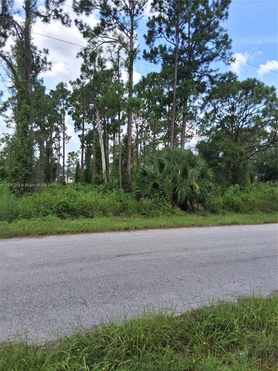 716 Newhall, Lehigh Acres, FL 33974 - photo 2