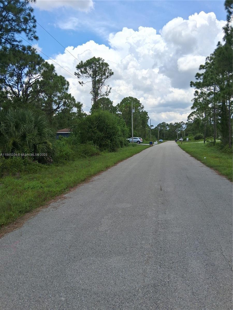 716 Newhall, Lehigh Acres, FL 33974 - photo 3
