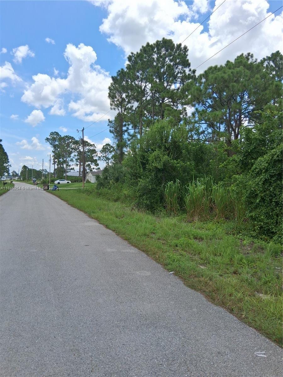 716 Newhall, Lehigh Acres, FL 33974 - photo 4