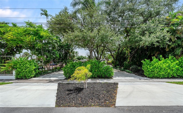 117 S Royal Poinciana Blvd, Miami Springs, FL 33166 - photo 33