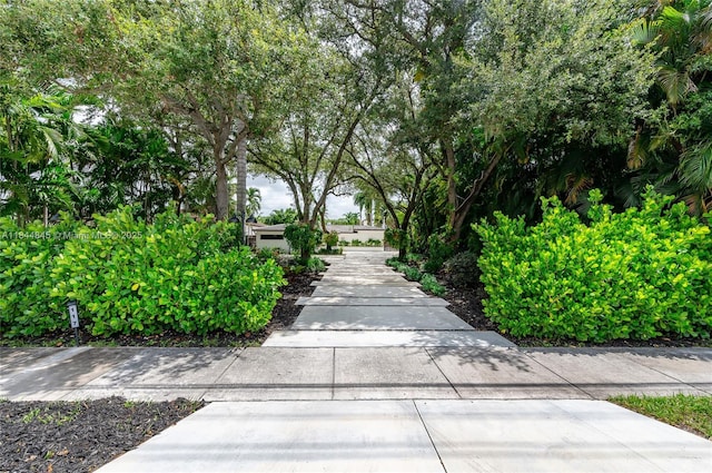 117 S Royal Poinciana Blvd, Miami Springs, FL 33166 - photo 34