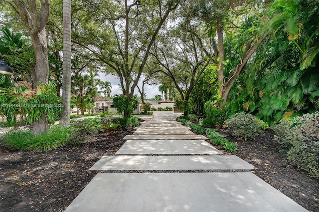 117 S Royal Poinciana Blvd, Miami Springs, FL 33166 - photo 35