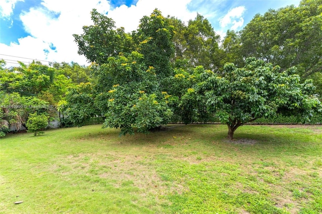 1305 Alhambra Cir, Coral Gables, FL 33134 - photo 7