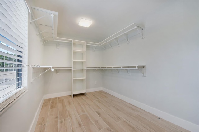 7424 SW 106th Pl, Miami, FL 33173 - photo 11