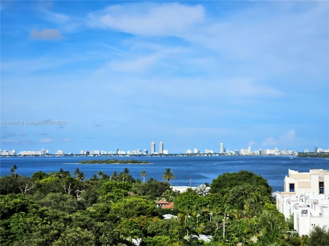 3900 Biscayne Blvd Unit N-815, Miami, FL 33137 - photo 8