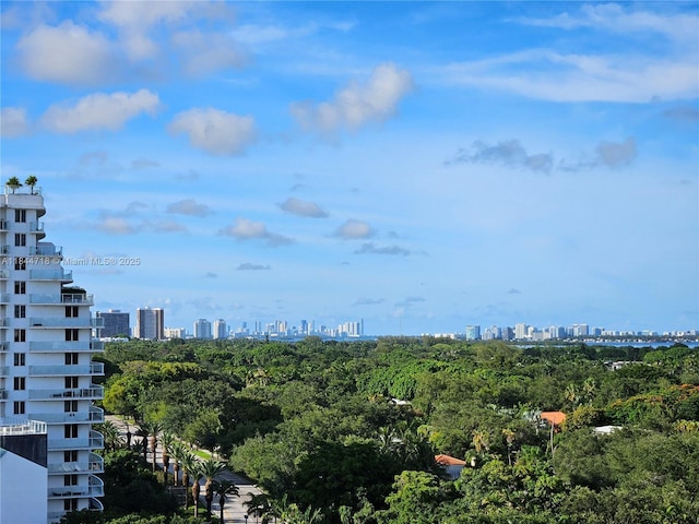 3900 Biscayne Blvd Unit N-815, Miami, FL 33137 - photo 11
