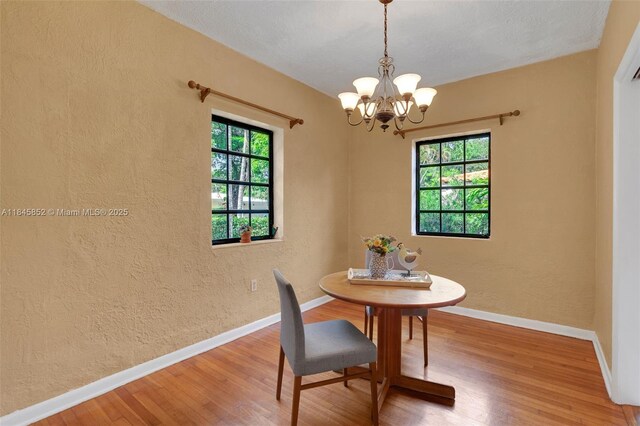 425 Cadagua Ave, Coral Gables, FL 33146 - photo 10