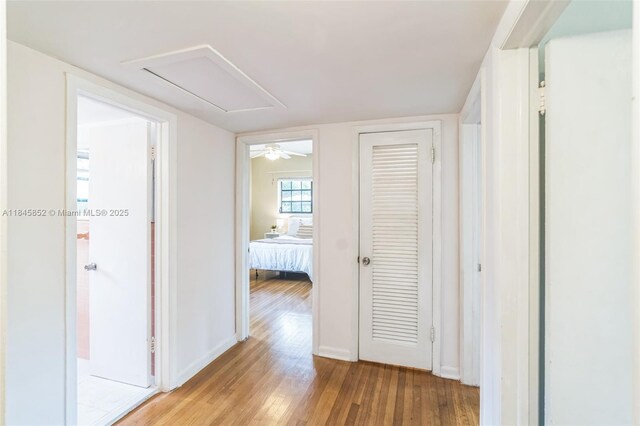 425 Cadagua Ave, Coral Gables, FL 33146 - photo 17