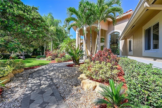 7037 NW 62nd Ter, Parkland, FL 33067 - photo 3