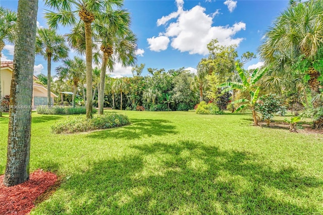 7037 NW 62nd Ter, Parkland, FL 33067 - photo 5