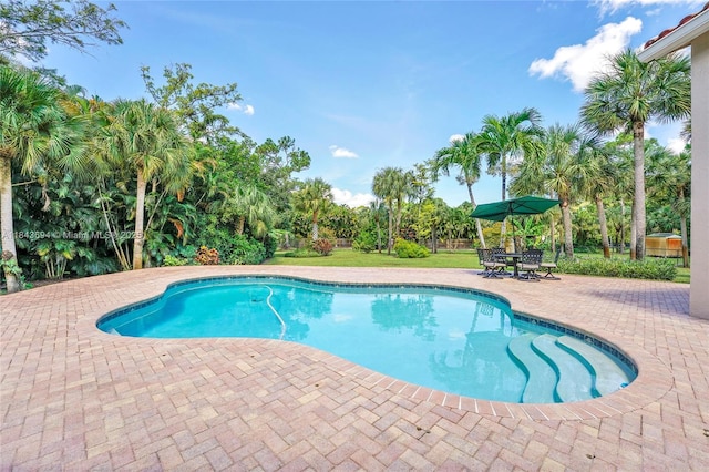 7037 NW 62nd Ter, Parkland, FL 33067 - photo 13