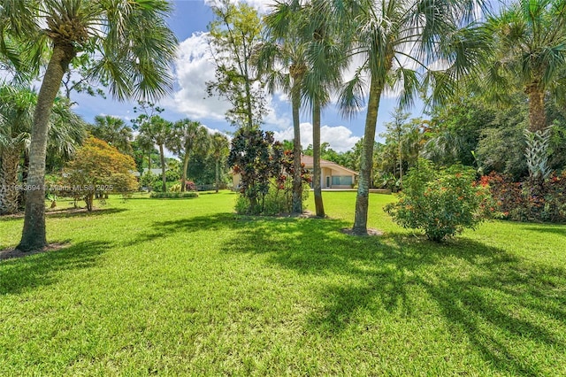 7037 NW 62nd Ter, Parkland, FL 33067 - photo 78