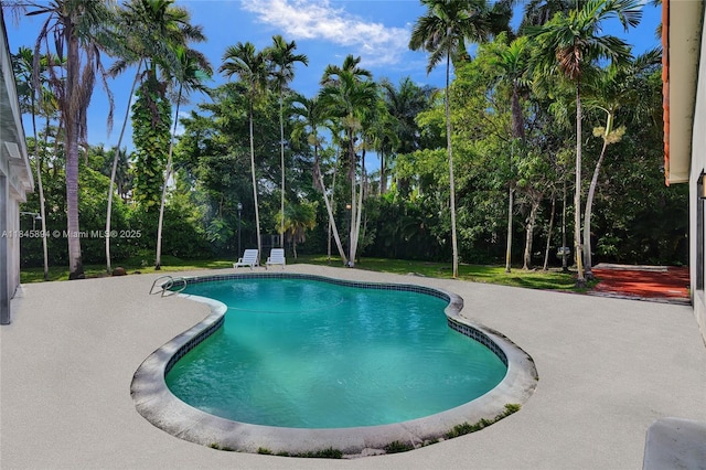 14135 N Miami Ave, Miami, FL 33168 - photo 37