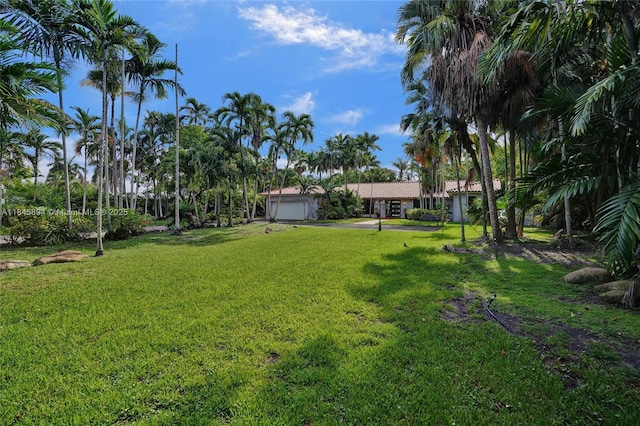 14135 N Miami Ave, Miami, FL 33168 - photo 51