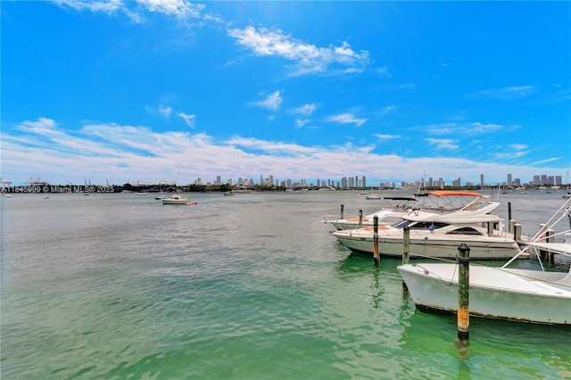 1200 W Ave Unit 521, Miami Beach, FL 33139 - photo 26
