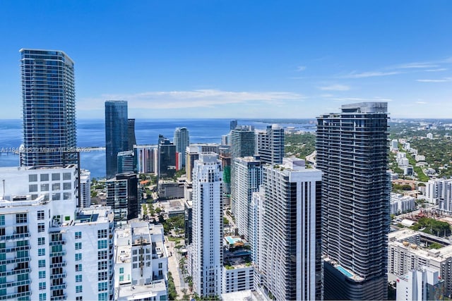 1010 Brickell Ave Unit 1405, Miami, FL 33131 - photo 36