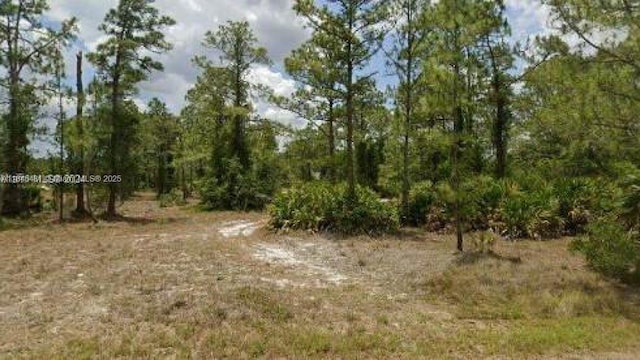2321 Macarthur Ave, Lehigh Acres, FL 33920 - photo 1