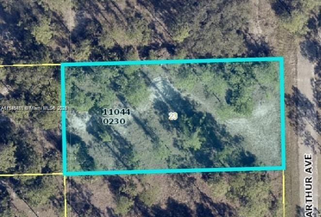 2321 Macarthur Ave, Lehigh Acres, FL 33920 - photo 2