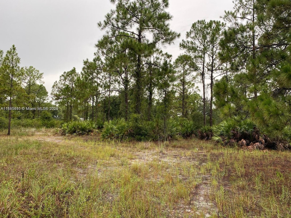 2321 Macarthur Ave, Lehigh Acres, FL 33920 - photo 3