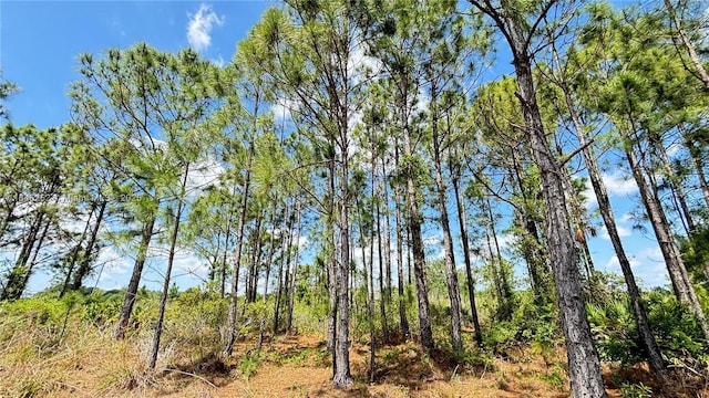 18121 NW 304 Th St, Okeechobee, FL 34972 - photo 1
