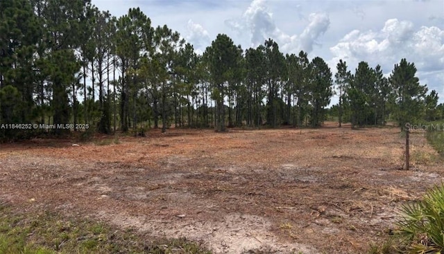 18121 NW 304 Th St, Okeechobee, FL 34972 - photo 2