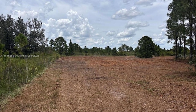 18121 NW 304 Th St, Okeechobee, FL 34972 - photo 3