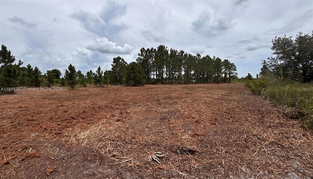 18121 NW 304 Th St, Okeechobee, FL 34972 - photo 4