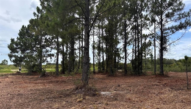 18121 NW 304 Th St, Okeechobee, FL 34972 - photo 5