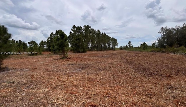 18121 NW 304 Th St, Okeechobee, FL 34972 - photo 7