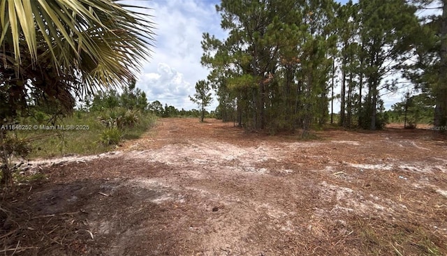 18121 NW 304 Th St, Okeechobee, FL 34972 - photo 9