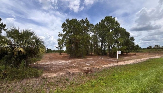 18121 NW 304 Th St, Okeechobee, FL 34972 - photo 10
