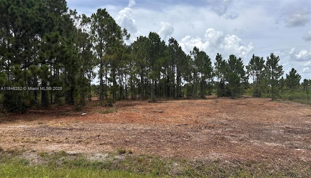 18121 NW 304 Th St, Okeechobee, FL 34972 - photo 11