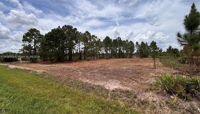 18121 NW 304 Th St, Okeechobee, FL 34972 - photo 12