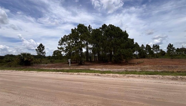 18121 NW 304 Th St, Okeechobee, FL 34972 - photo 13