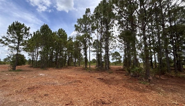 18121 NW 304 Th St, Okeechobee, FL 34972 - photo 17