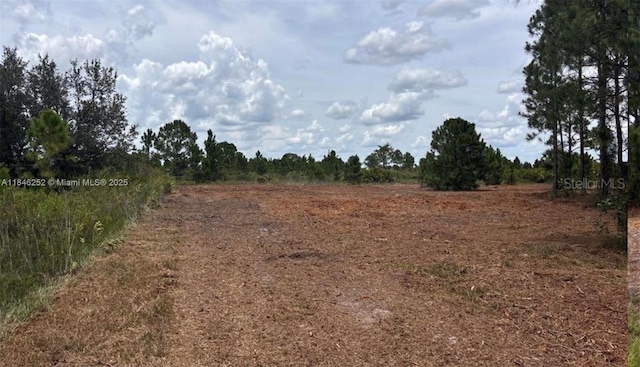 18121 NW 304 Th St, Okeechobee, FL 34972 - photo 18