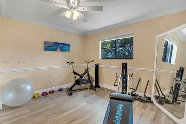 6421 Falconsgate Ave, Davie, FL 33331 - photo 34