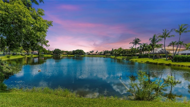6421 Falconsgate Ave, Davie, FL 33331 - photo 51