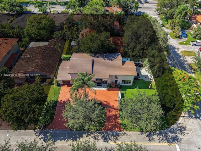 1501 Algardi Ave, Coral Gables, FL 33146 - photo 37