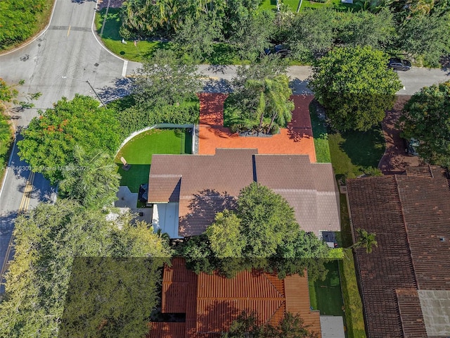 1501 Algardi Ave, Coral Gables, FL 33146 - photo 38