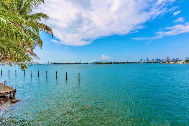5 Island Ave Unit 15D, Miami Beach, FL 33139 - photo 42